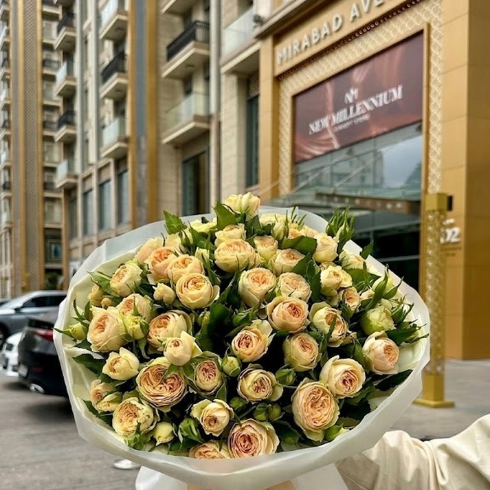 Персиковое Облако